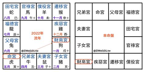 流月查詢|紫微斗數